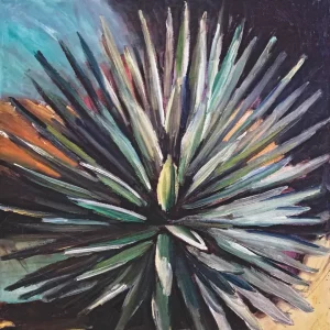 Agave Americana
